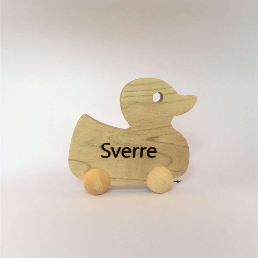 Rollende eend, uniek persoonlijk cadeau!